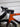 Lapierre Xelius SL 7.0 2024 - Shimano Ultegra Di2 2x12sp - Bontrager Aeolus Pro 51