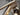 Scott Scale 940 2024 - Sram NX 1x12sp - Syncros X-30 SE