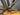 Scott Scale 940 2024 - Sram NX 1x12sp - Syncros X-30 SE
