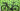 Giant TCR Advanced 2 Disc 2021 - Shimano 105 11-speed - Giant PR2