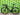 Giant TCR Advanced 2 Disc 2021 - Shimano 105 11-speed - Giant PR2