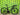 Giant TCR Advanced 2 Disc 2021 - Shimano 105 11-speed - Giant PR2