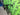 Giant TCR Advanced 2 Disc 2021 - Shimano 105 11-speed - Giant PR2