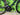 Giant TCR Advanced 2 Disc 2021 - Shimano 105 11-speed - Giant PR2