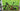 Cannondale Scalpel Carbon 2023 - SRAM X01 Eagle 1x12sp - Carbon + Evo