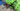 Cannondale Scalpel Carbon 2023 - SRAM X01 Eagle 1x12sp - Carbon + Evo