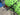 Cannondale Scalpel Carbon 2023 - SRAM X01 Eagle 1x12sp - Carbon + Evo