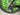 Giant Propel Advanced Pro 0 2027 - Shimano Ultegra Di2 ST-R8170 2x12sp - Giant SLR 0 50 Carbon WheelSystem, [F]50mm, [R]50mm