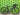Cannondale SuperSix EVO 2014 - Shimano Dura-Ace 11v - Fulcrum Racing 0