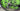 Cannondale SuperSix EVO 2014 - Shimano Dura-Ace 11v - Fulcrum Racing 0