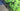 Cannondale SuperSix EVO 2014 - Shimano Dura-Ace 11v - Fulcrum Racing 0
