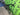 Cannondale SuperSix EVO 2014 - Shimano Dura-Ace 11v - Fulcrum Racing 0