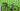 Cannondale SuperSix EVO 2014 - Shimano Dura-Ace 11v - Fulcrum Racing 0