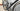 Trek Emonda SLR 2021 - Shimano Dura-Ace Di2 2x11 - Enve SES