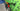 Trek Emonda SL 6 Pro 2024 - Shimano 105 Di2 - Bontrager Aeolus Elite 35