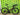 Giant Defy Advanced Disc 2024 - Shimano 105 2x12sp - Roval Rapide C 38