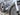 Wilier Filante Hybrid 2026 - Shimano Ultegra Di2 2x12sp - Miche SLR 42