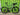 Cannondale Topstone 2 2025 - Shimano GRX 2x10sp - Cannondale GXD10