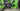 Cannondale Topstone 2 2025 - Shimano GRX 2x10sp - Cannondale GXD10