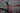 Pinarello Dogma F8 2017 - Campagnolo Super Record EPS 2x11sp - Fulcrum Racing Quattro