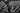 Pinarello Rokh 2016 - Shimano 105 2x11sp - Fulcrum Racing Sport