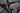 Pinarello Rokh 2016 - Shimano 105 2x11sp - Fulcrum Racing Sport