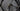 Cannondale Synapse SPT 2016 - Shimano 105 2x11sp - Shimano RX