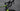 Cannondale Synapse SPT 2016 - Shimano 105 2x11sp - Shimano RX