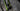 Cannondale Synapse SPT 2016 - Shimano 105 2x11sp - Shimano RX