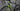 Cannondale Synapse SPT 2016 - Shimano 105 2x11sp - Shimano RX