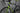 Cannondale Synapse SPT 2016 - Shimano 105 2x11sp - Shimano RX