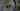 Cannondale Synapse SPT 2016 - Shimano 105 2x11sp - Shimano RX