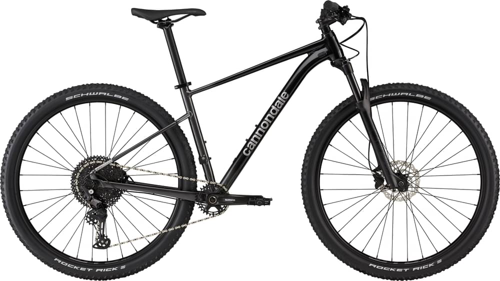 Cannondale Trail SL 3 2021 - microSHIFT Advent X Pro - WTB STX i23 TCS, 32h, tubeless ready