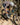 Megamo Track 07 2024 - Sram GX Eagle 1x12sp - DT Swiss X 1900 SP 29