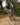 Megamo Track 07 2024 - Sram GX Eagle 1x12sp - DT Swiss X 1900 SP 29