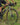 Megamo Jakar 30 2025 - Shimano GRX 1x10sp - Megamo SL 25 ASY