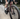 Megamo Silk 01 AXS 2025 - Sram GX Eagle AXS 1x12sp - Zipp 303 S