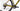 Wilier Jena 2023 - Shimano GRX 1x11sp - SHIMANO RS171 / WILIER RX26