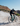 Wilier RAVE SLR ID2 2026 - SRAM FORCE XPLR AXS 1x12sp - MICHE GRAFF AERO 48