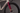 Wilier RAVE SLR ID2 2026 - SRAM FORCE XPLR AXS 1x12sp - MICHE GRAFF AERO 48