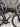 Giant Propel Advanced Pro 0 2025 - Shimano Ultegra Di2 2x12sp - Giant SLR 1 50 Carbon Disc