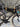 Cannondale SuperSix EVO 3 2023 - Shimano 105 Di2 2x12sp - DT Swiss R470
