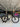 Giant Propel Advanced SL Disc 0 - SRAM Red eTap 2x11sp - CADEX Aero Disc carbon wheelset
