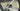 Specialized Aethos Expert Carbon - SRAM Rival AXS 2x12sp - Mavic Cosmic SL