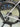 Specialized Aethos Expert Carbon - SRAM Rival AXS 2x12sp - Mavic Cosmic SL