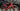 Wilier Cento1NDR Carbon - SRAM Force AXS 2x12sp - Miche carbon wheelset
