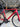 Canyon Ultimate CF SL - Shimano Ultegra Di2 2x12sp - DTSwiss alu wheels