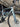 Scott Addict RC30 - Shimano 105 Di2 2x12sp - Syncros Capital 1.0 carbon