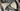 Trek Madone SL6 Carbon - Shimano 105 Di2 2x12sp - FFWD Royt 55 carbon wheelset