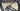 Specialized Tarmac SL6 Pro Carbon - Shimano Ultegra Di2 2x12sp - Forza carbon wheelset